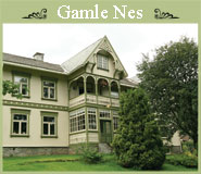 Gamle Nes venneforening