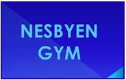 Nesbyen Gym