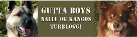 Gutta Boys - Nalle og Kangos turblogg